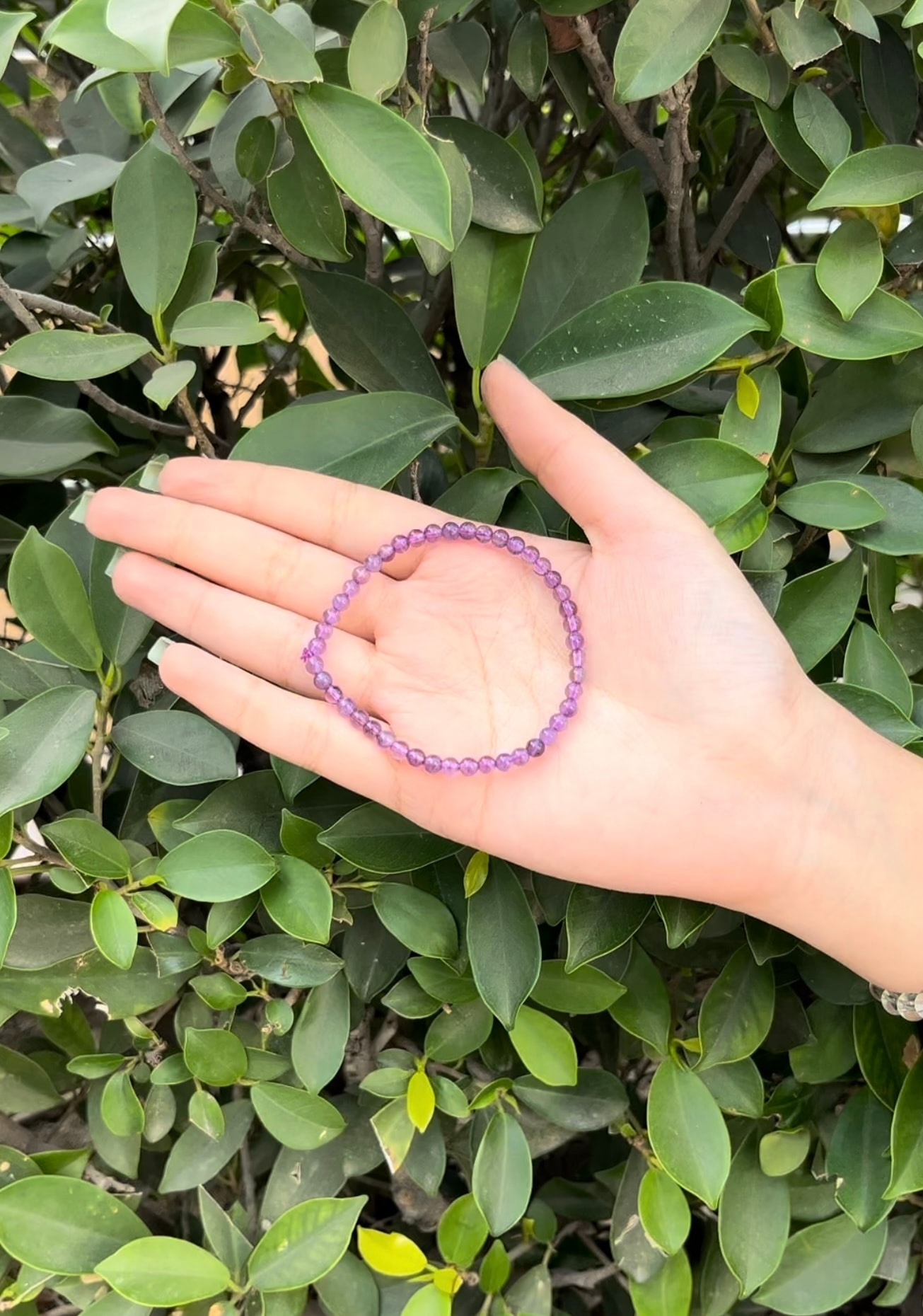 Amethyst Bracelet - alternate view